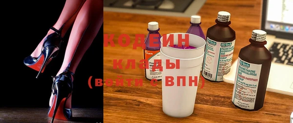 дмт Каменка