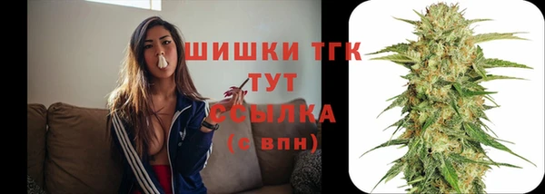 МДПВ Инсар