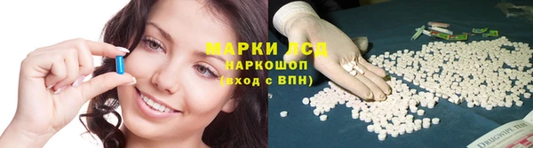 прущие грибы Каменск-Шахтинский
