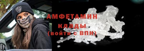 прущие грибы Каменск-Шахтинский