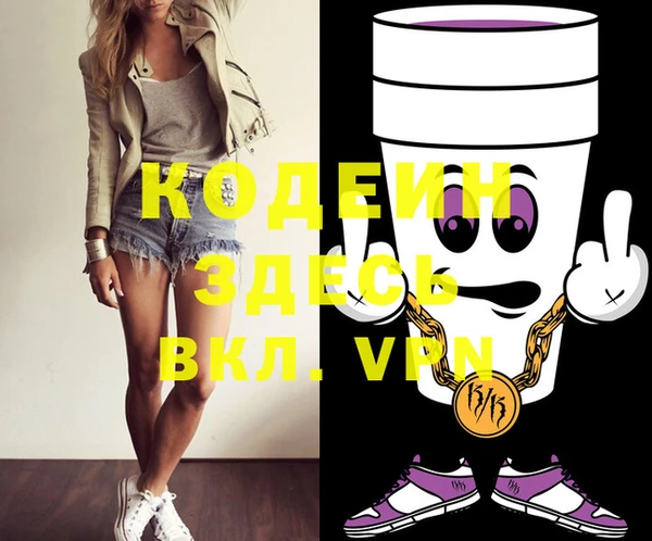 дмт Каменка