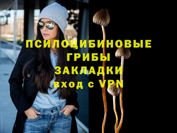 дживик Каменногорск