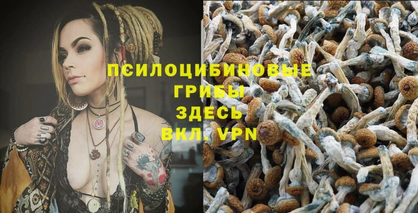 дмт Каменка