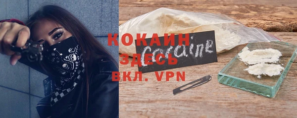 дживик Каменногорск